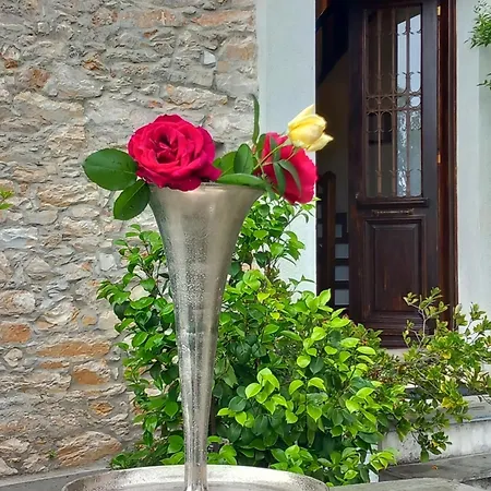 Milies Historic Pelion *