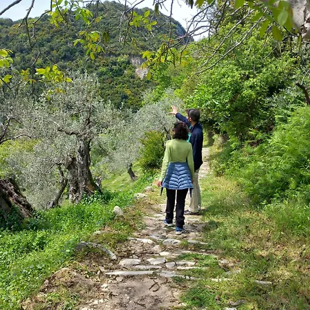 Milies Historic Pelion