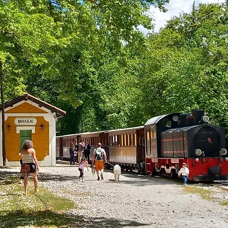 Milies Historic Pelion Nyaraló