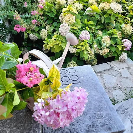 Milies Historic Pelion