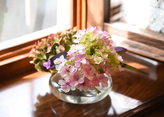 Milies Historic Pelion *