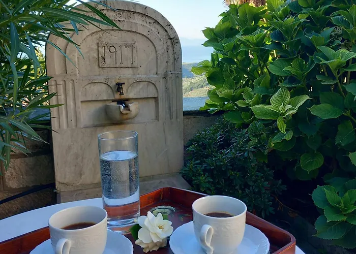 Milies Historic Pelion