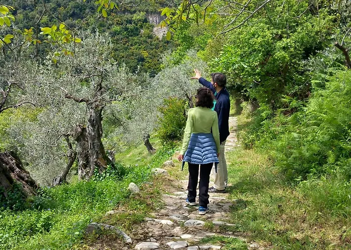 Milies Historic Pelion